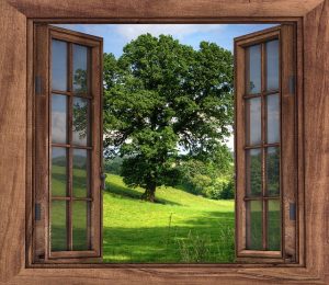 lesena okna